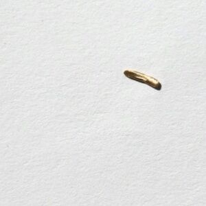 NEW WWAKE DASH WISP EARRING